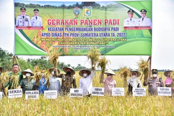 Panen Padi Naik Odong-odong, Edy Rahmayadi Puji Kerja Keras Petani